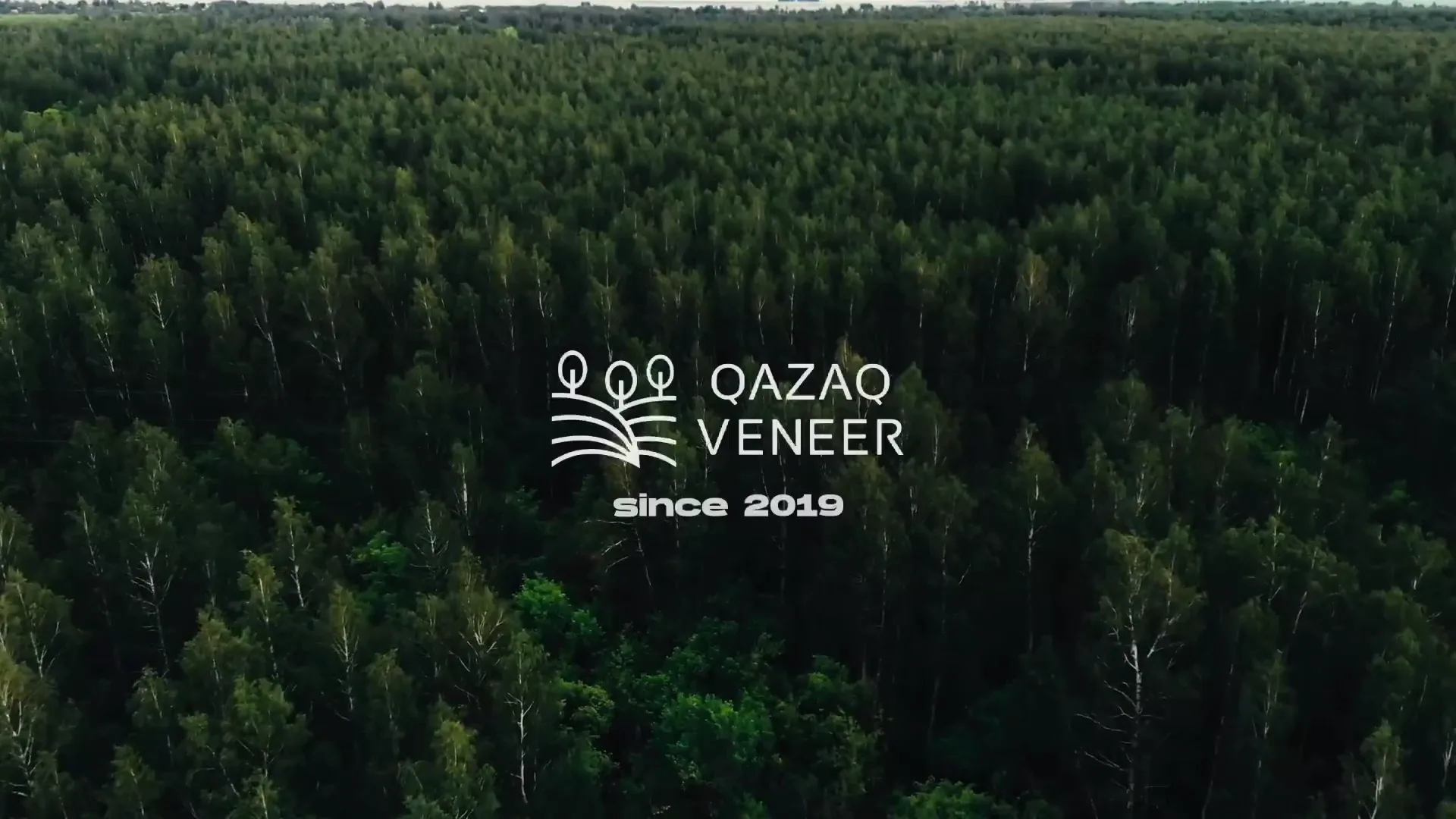 Qazaq Veneer — Brand commercial film
